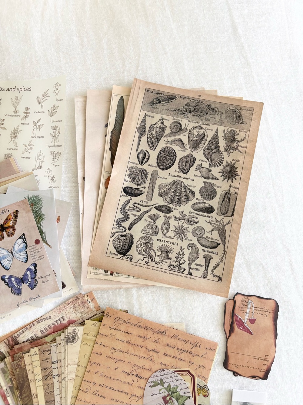 Vintage Scrapbook Supplies - Picture 5 of 6